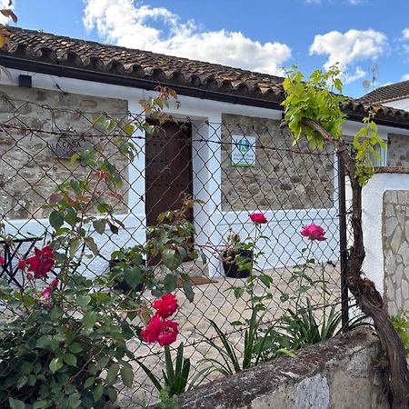 La Casa Vieja De Marchenilla Βίλα Jimena De La Frontera Εξωτερικό φωτογραφία